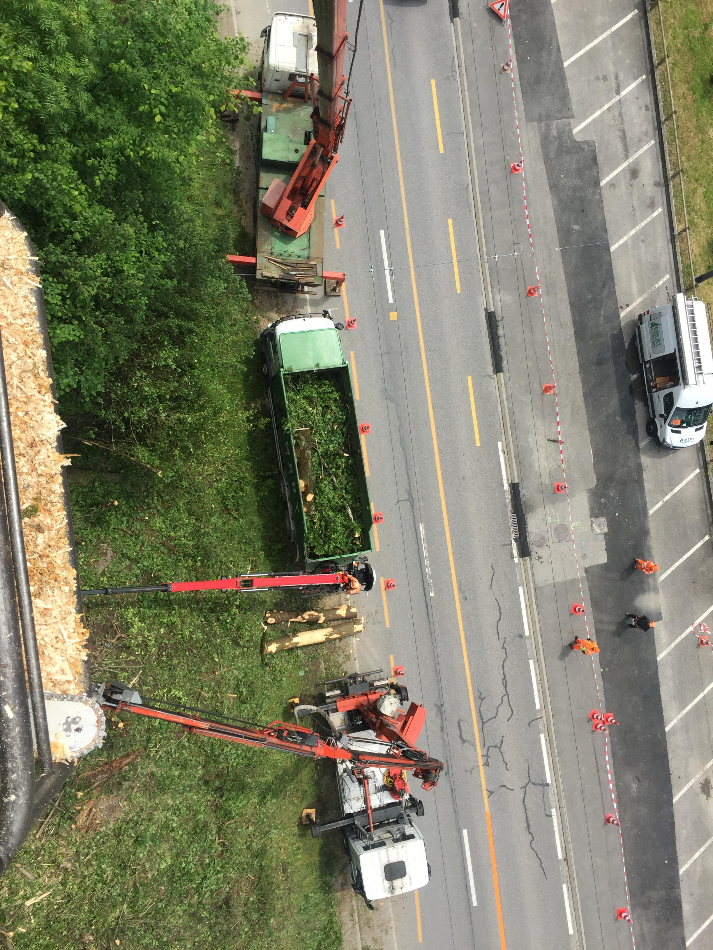 Évacuation de déchets verts par camion grue dans le Jura — SAS POLYVIER